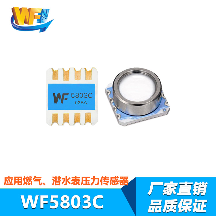 超小型传感器适应复杂多变的极端环境